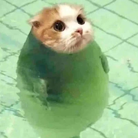 All ( cả lớp )