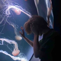 Hoắc Quang Minh Vũ