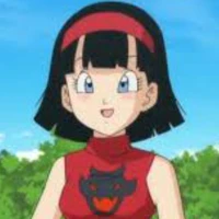 videl