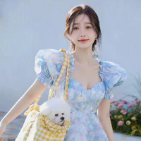 Tống Khả Hân