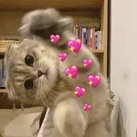 ♌
