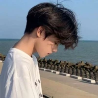 vũ tuấn luân(na9)