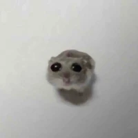 tg