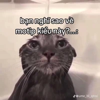 tg đẹp trai
