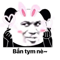 tác giả cư tề