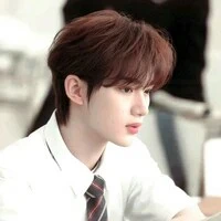 Đình trình hâm vy