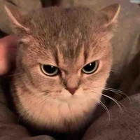 T/g nghiện trà đắng🌱