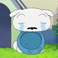 shiro