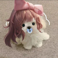 Sinestrea