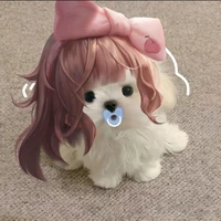 Sinestrea