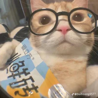 tác giả lỏ:))
