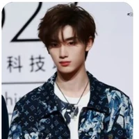 Đinh Trình Hâm (anh¹)