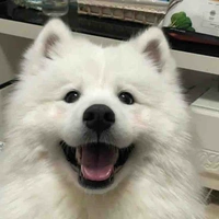 Shiro 