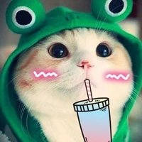 bé mèo cutii/Tác giả