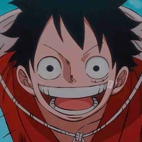 Monkey D Luffy