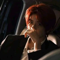 Phó Thành Đô_Vô  Ảnh