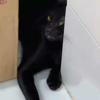 nô lệ của tư bản.