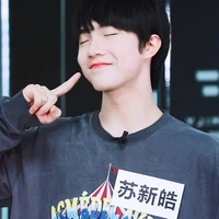 Tô Tân Hạo