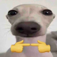 🐶