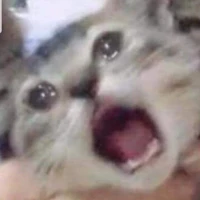 tác giả cute
