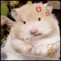 vệ sĩ