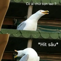 All trừ những người không có mặt