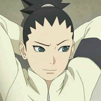 Nara Shikadai 
