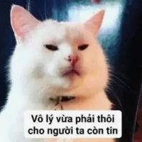 Con tg bị mất page truyện