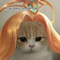 Hệ Thống ‘Sàm’