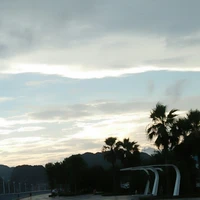 2amwindy / Windy / Tác giả