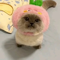 Haru