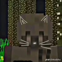 Hiha nightmare