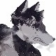 KEYADO_SAMTI
