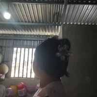 Tác giả