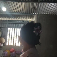 Tác giả