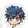Gray Fullbuster