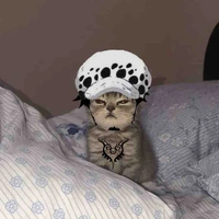 Lính