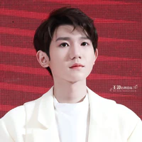 Vương Nguyên -VN