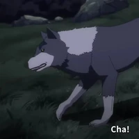 Ranga/chưa đặt tên