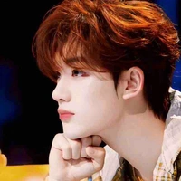 Đinh Trình Hâm_Tiểu Đinh