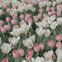 All