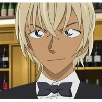 Amuro Tooru ( bourbon )
