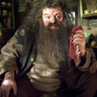 Rubeus Hagrid