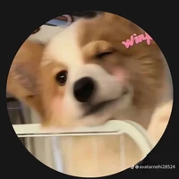 T/g mới lúuu