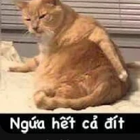 cân mọi loại vai