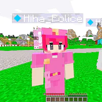 hiha police