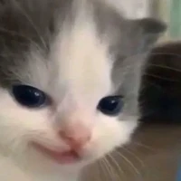 Tất cả