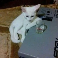 tôi cần một giấc ngủ