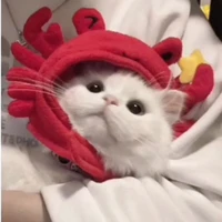 Tác giả zô tri