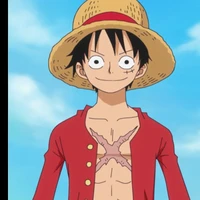 Monkey d Luffy